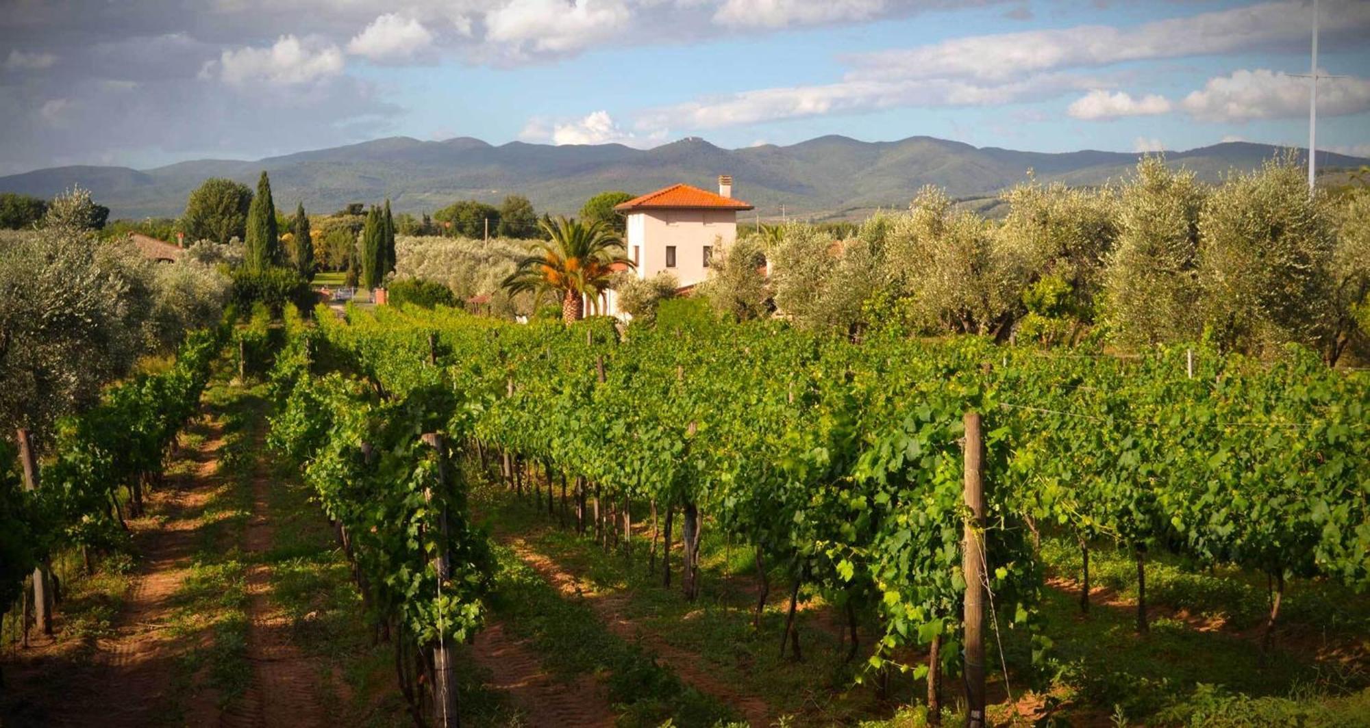 La Cipriana Villa Castagneto Carducci Dış mekan fotoğraf