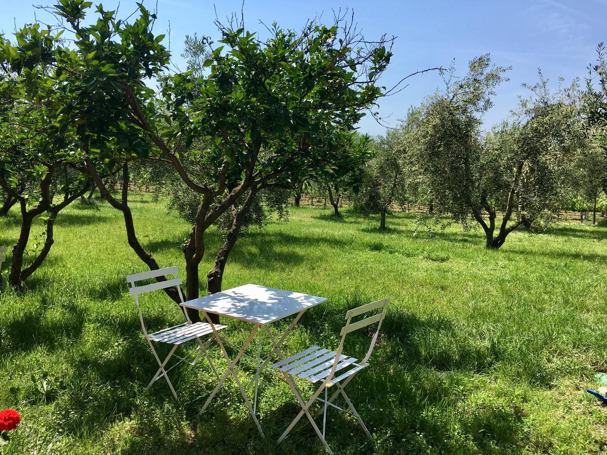 La Cipriana Villa Castagneto Carducci Dış mekan fotoğraf