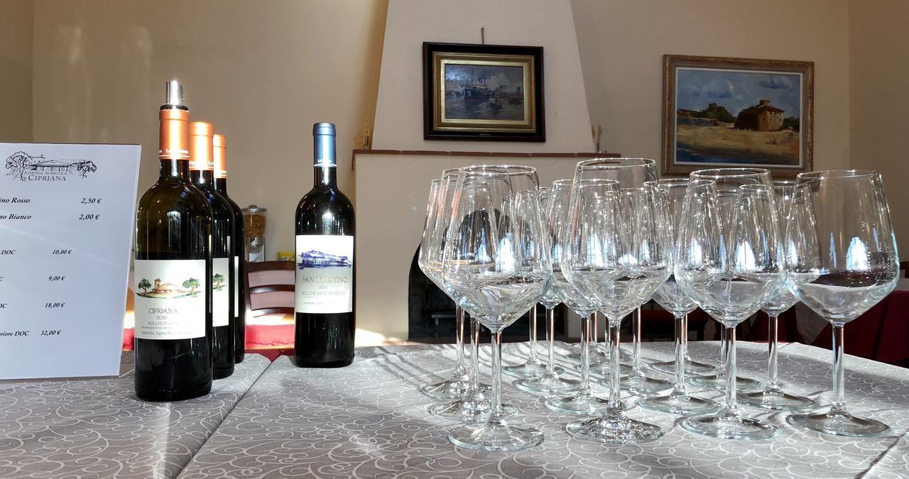 La Cipriana Villa Castagneto Carducci Dış mekan fotoğraf